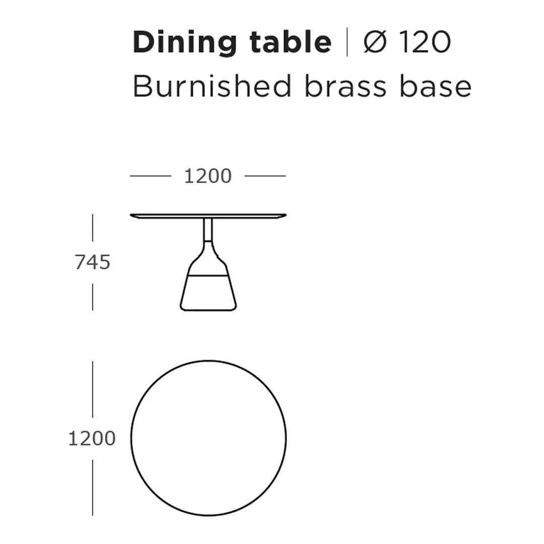 Coin Dining Table
