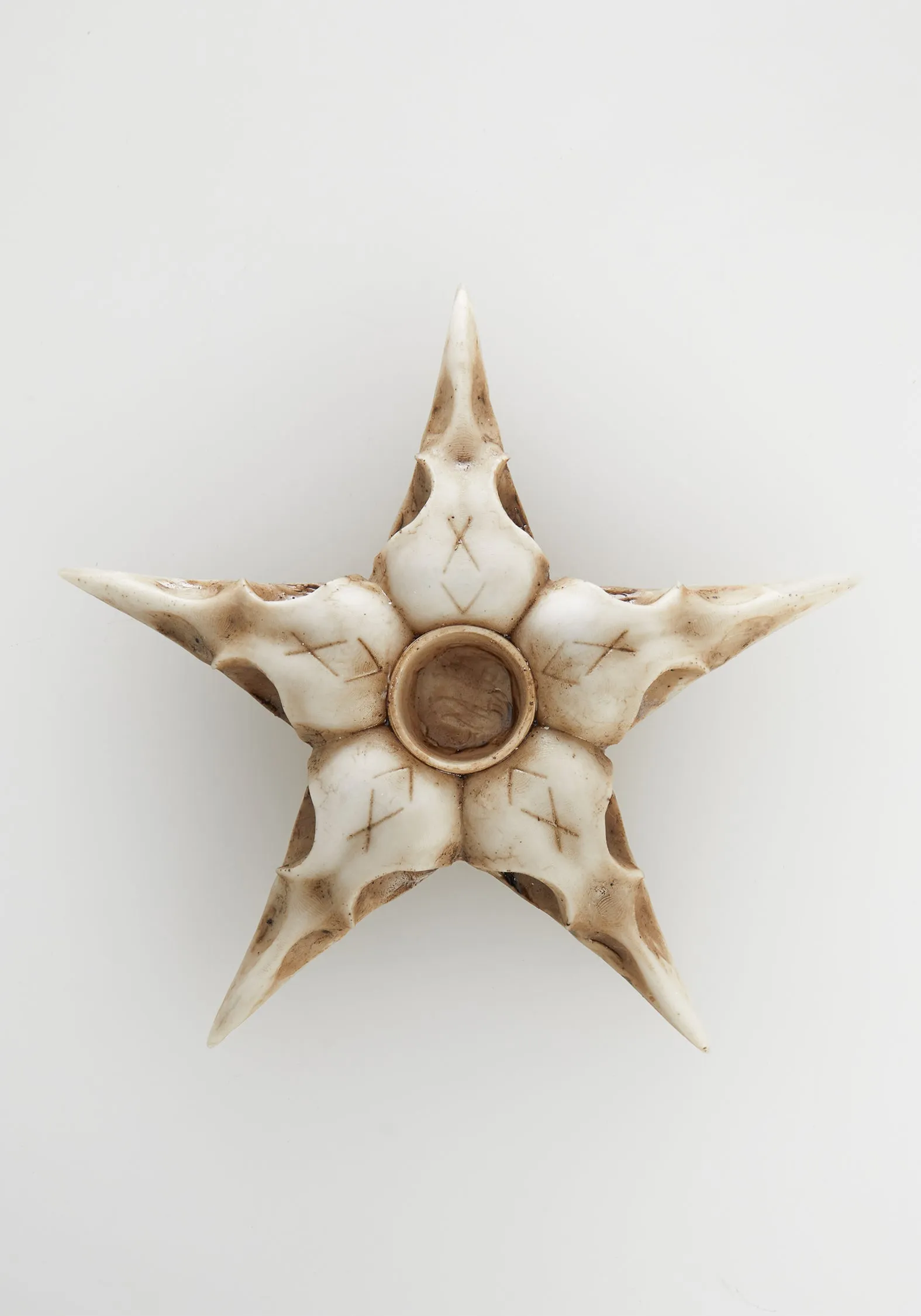 Raven Skull Candle Holder