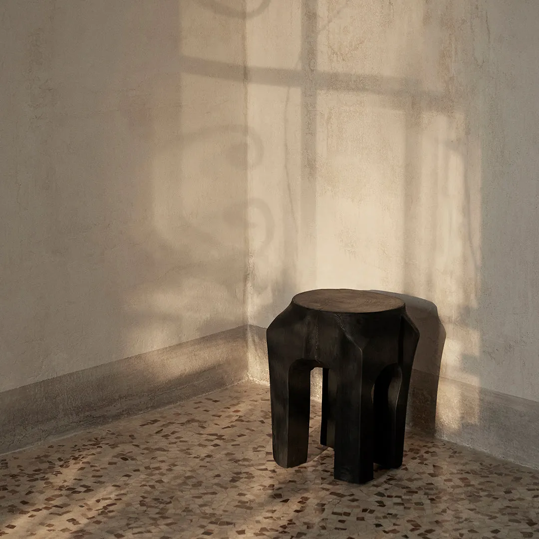 Root Stool