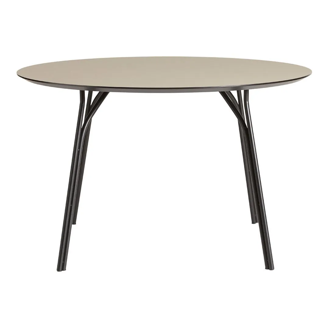 Tree Dining Table - Circle