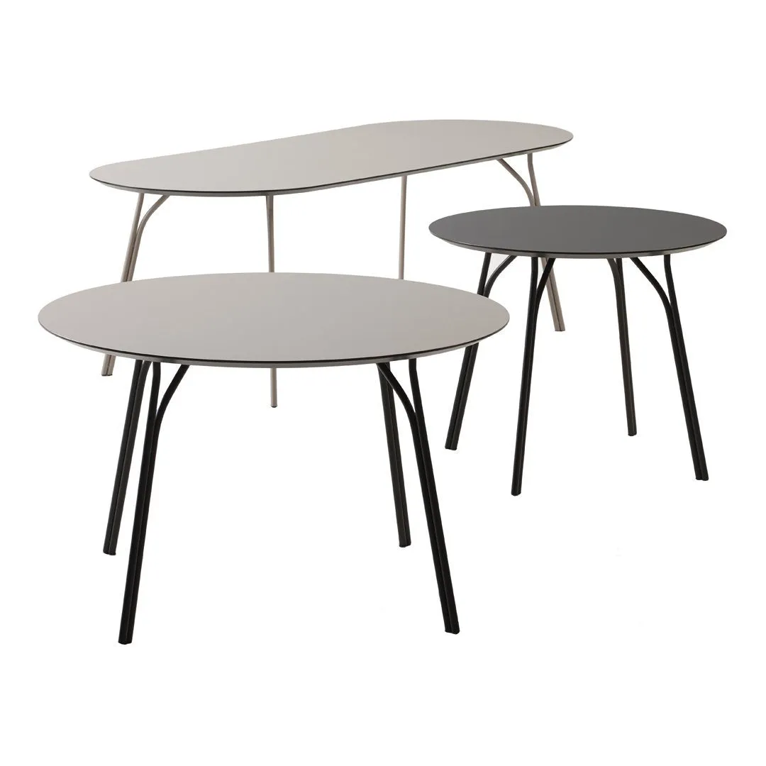Tree Dining Table - Oval